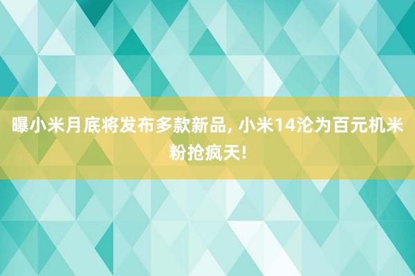 曝小米月底将发布多款新品, 小米14沦为百元机米粉抢疯天!