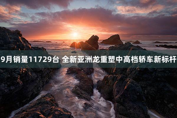 9月销量11729台 全新亚洲龙重塑中高档轿车新标杆