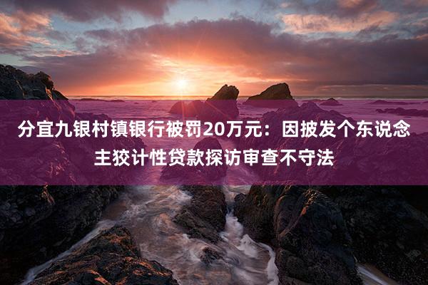 分宜九银村镇银行被罚20万元：因披发个东说念主狡计性贷款探访审查不守法