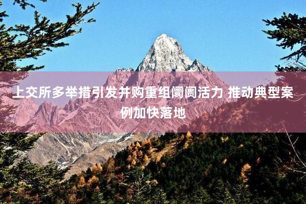 上交所多举措引发并购重组阛阓活力 推动典型案例加快落地