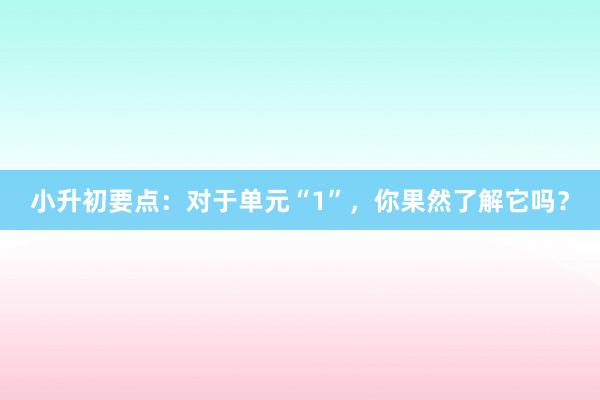 小升初要点：对于单元“1”，你果然了解它吗？