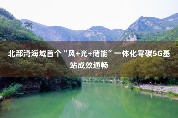 北部湾海域首个“风+光+储能”一体化零碳5G基站成效通畅