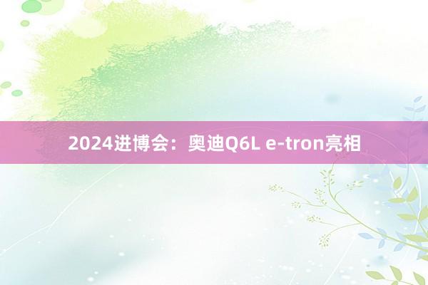 2024进博会：奥迪Q6L e-tron亮相